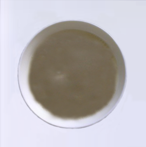 20230401105307683.png 20230401105307683.png